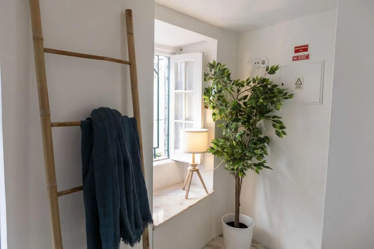 Beautiful 1 Bedroom Apartment In Lisbon Portugal
